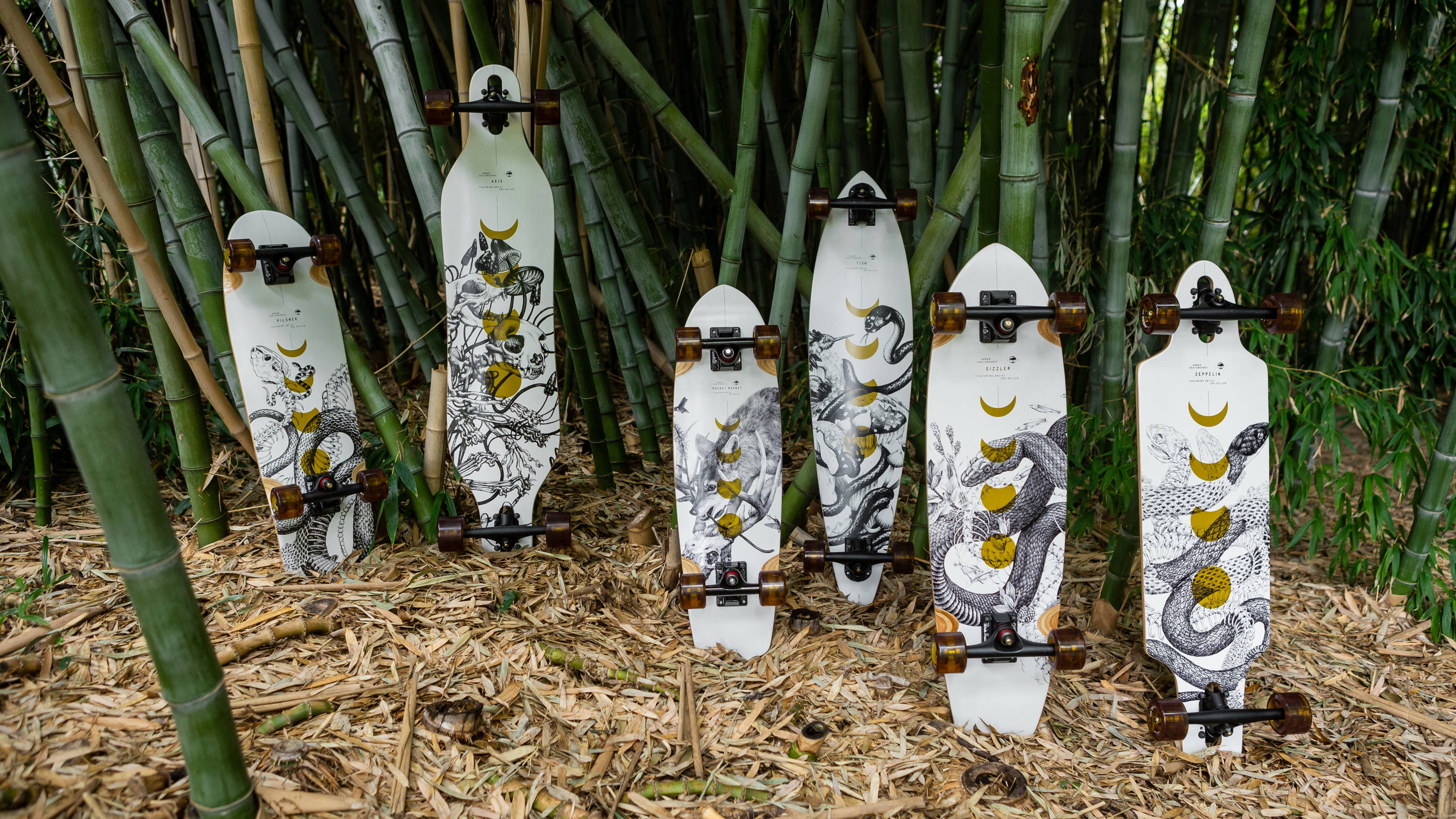 The Bamboo Collection featuring artist Zoe Keller – Arbor Collective