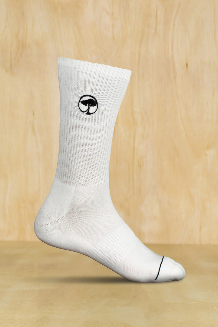 https://www.arborcollective.com/cdn/shop/files/Arbor_whiteSock.jpg?v=1703797525&width=720