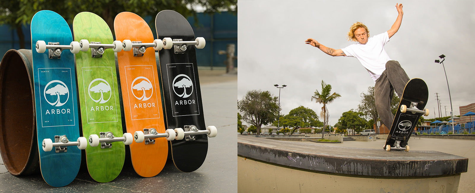 Arbor Skateboards – Arbor Collective